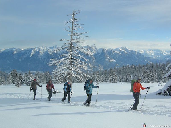 Skitour in der Nähe (S/B/WS) Erika Frick
