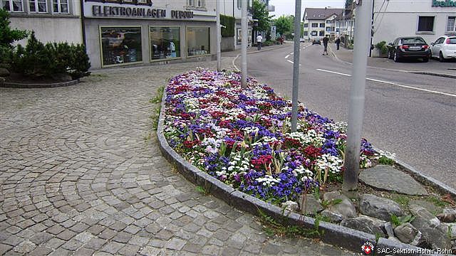 Hinwil – Allmen 1076 m (W/B/T2) Verena Graf