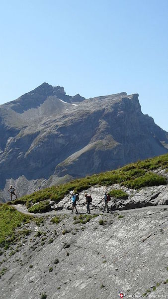 Blinnenhorn 3374 (H/B/WS) Willi Streuli