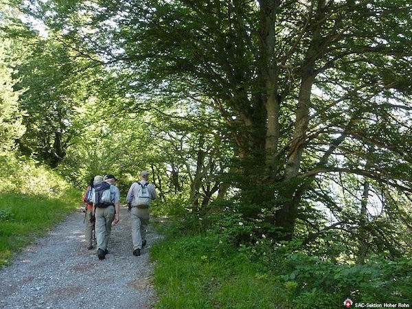 Naturlehrpfad Eichwald (W/B/T2) Frank Erzinger