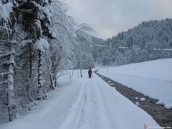 Hohberg 2239 m (S/B/WS) Hermann Gassner