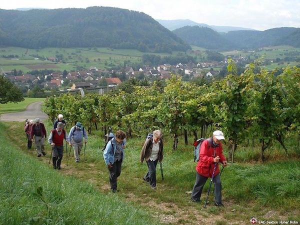 Wittnau-Mumpferfluh-Stein (W/B/T2) Elsbeth Rigoni
