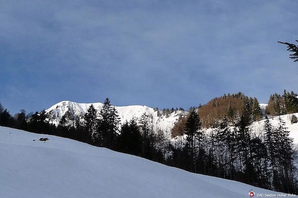 Buochserhorn 1806m (S/B/WS) Hermann Gassner