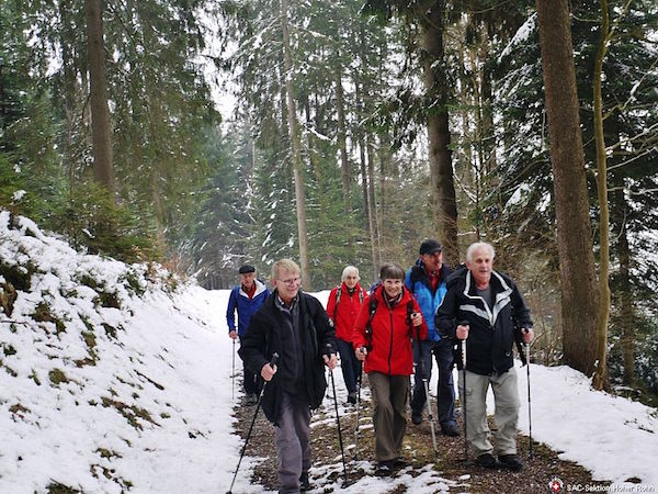 Biberbrugg-Wildspitz (W/B/T1) Ernst Horat