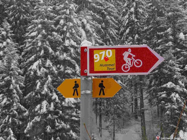 Sunnenhoernli 2246m BGF (AU, S/B/WS+) Peter Alig