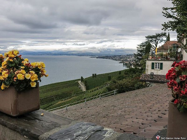 Lavaux-Rebenwanderung (W/B/T1) Agnes Isenschmid