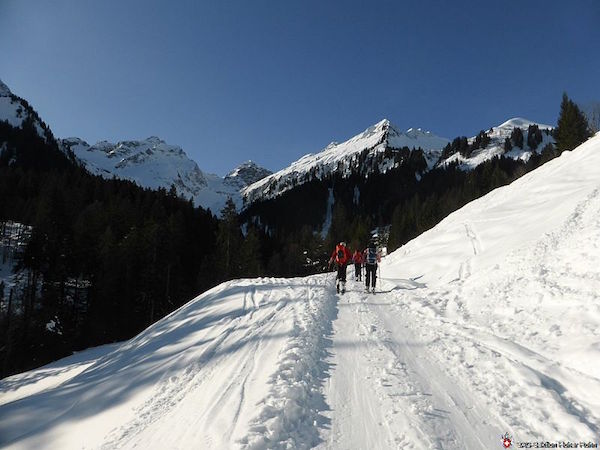 Bregenzerwald (S/B/WS) Andreas Walder