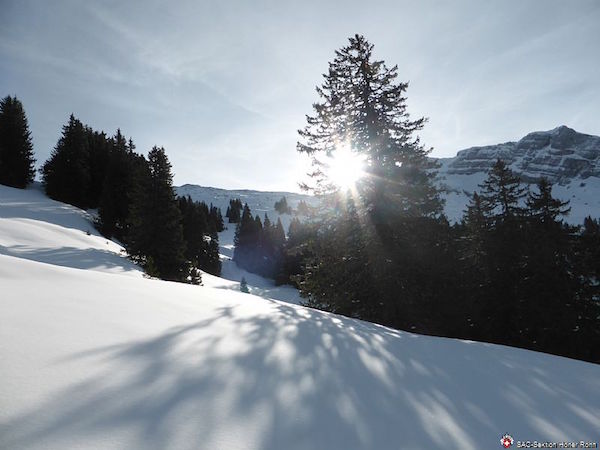 Leiterenstollen 1789m (S/B/WS) Hermann Gassner
