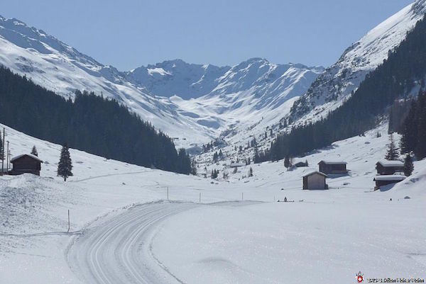Grialetsch (S/B/WS+) Andreas Walder