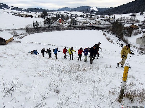 Schwantenau Einsiedeln (W/B/T1) Elisabeth Kühne