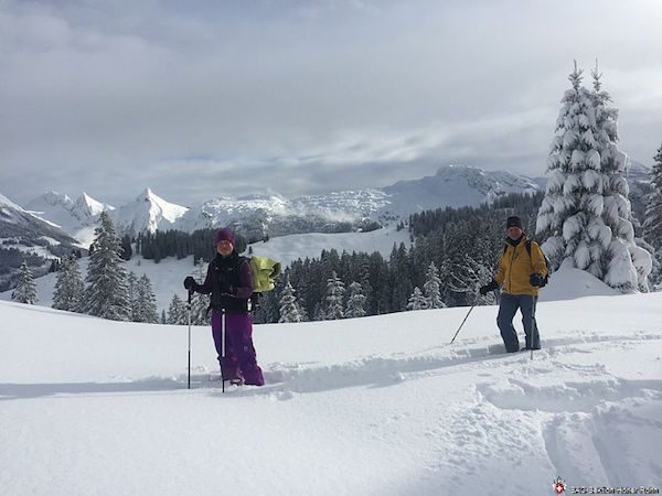 Einsteigerskitour (S, SB/B/L) Jürg Rellstab