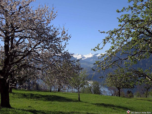 Ueber dem Aegerisee (W/B/T2) Alfred Fankhauser