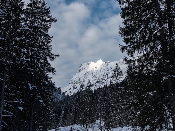 Büelenhorn 2512m (S/B/WS) Hermann Gassner