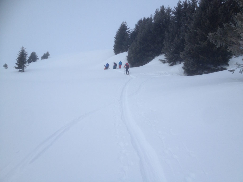 Lochegg 1535m – Oberurnen (S/B/WS) Jörg Schwarz