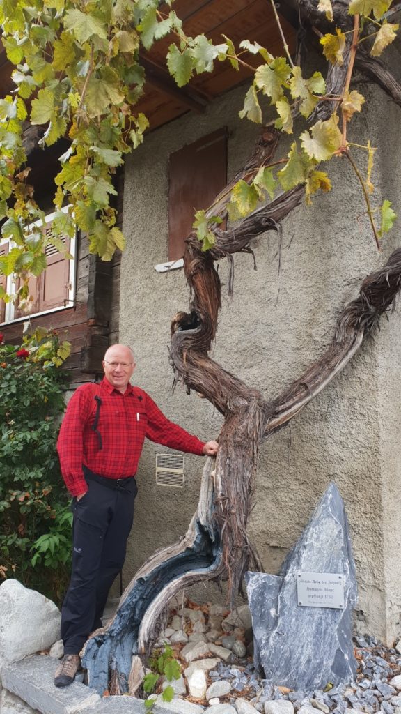 Tessin Wandern&Geniessen (W/B/T3) J&ouml;rg Schwarz