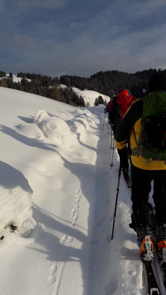 Fideriser Heuberge (S/B/WS) Hermann Gassner
