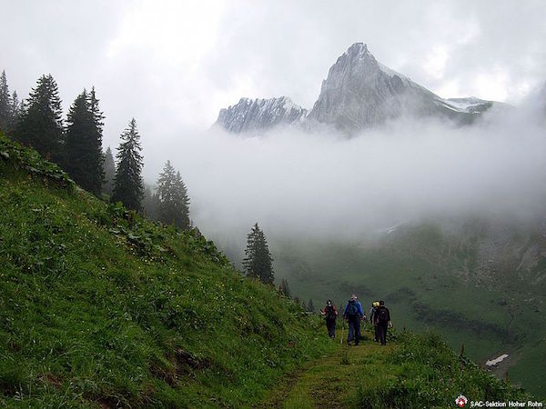 Zindelspitz 2097 m (W/B/T3) Hermann Gassner