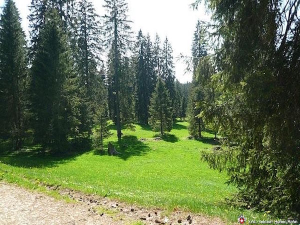 Saignelégier-Etang Gruère (W/B/T1) Ute Hugentobler