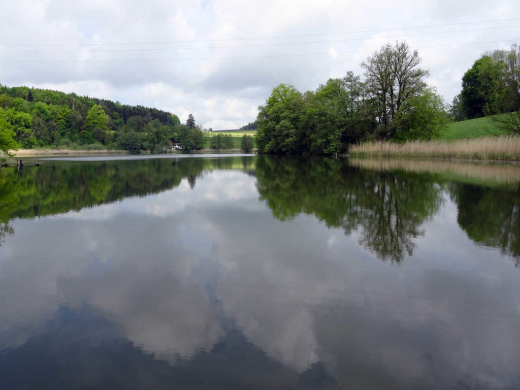 5 Weiher im Thurgau (W/B/T1) Ellen Maiwald