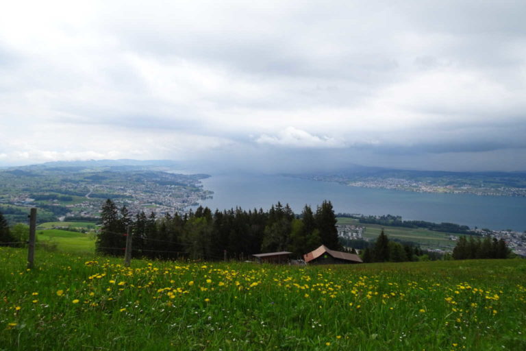 DSC07864