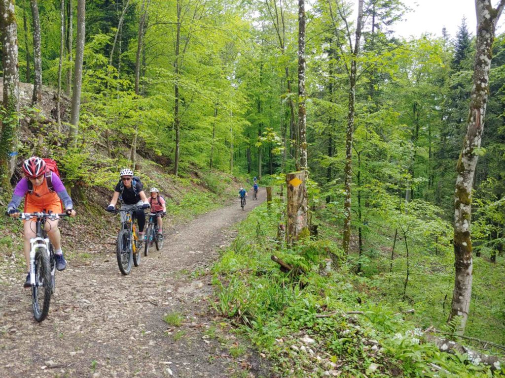 Einfahr-Biketour (BI/B/S2) Michael Kirsch