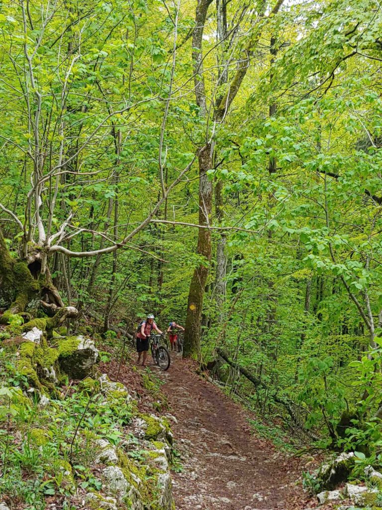 SAC_Lägern_005