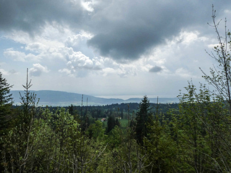 2018_SACVueDesAlpes_P1000433-21-2