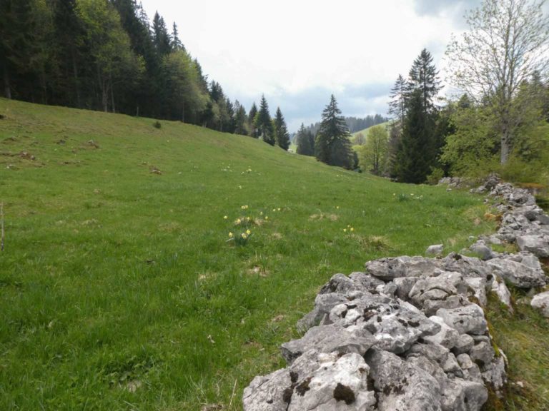 2018_SACVueDesAlpes_P1000439-27-2