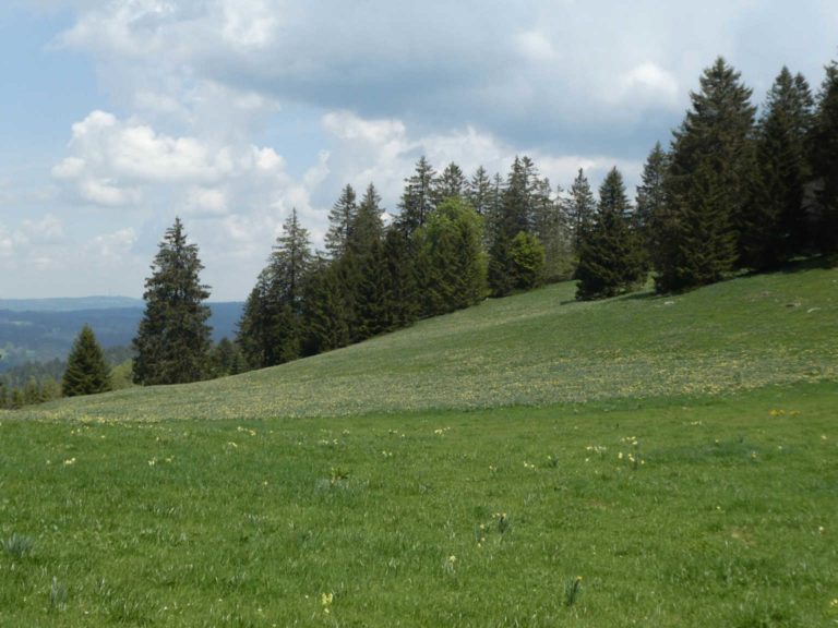 2018_SACVueDesAlpes_P1000443-30-2