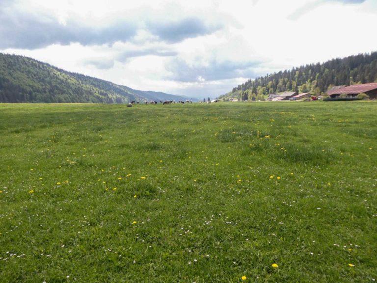 2018_SACVueDesAlpes_P1000445-32-2
