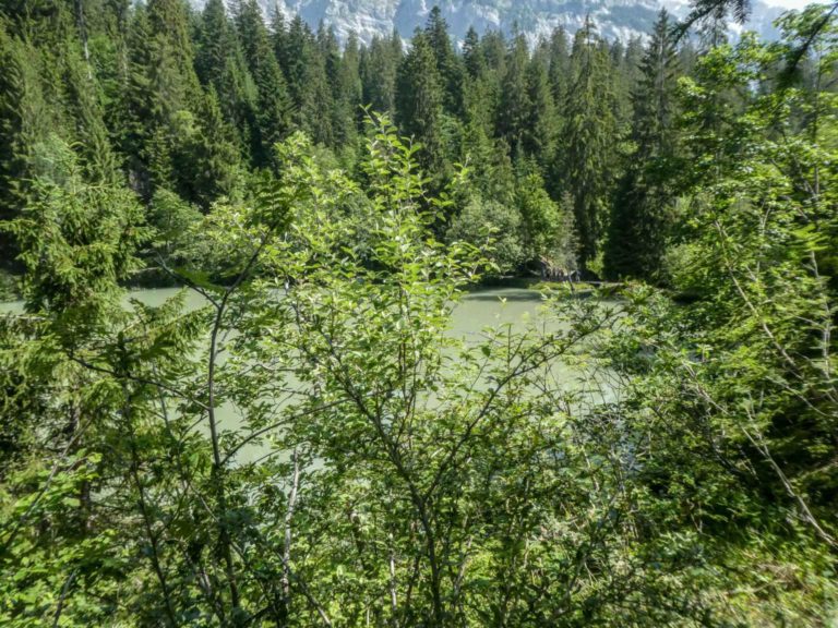 2019_SAC-Flims_Bild07_P1050948-13-2