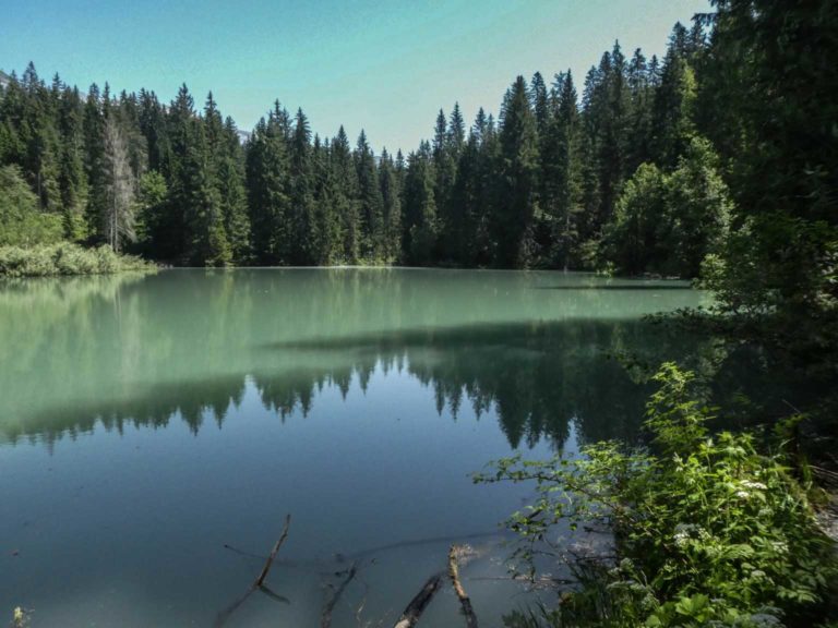 2019_SAC-Flims_Bild09_P1050955-18-2