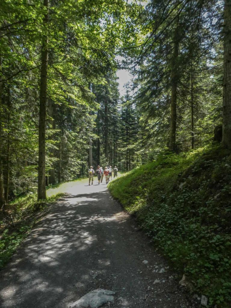 2019_SAC-Flims_Bild14_P1060012-26-2