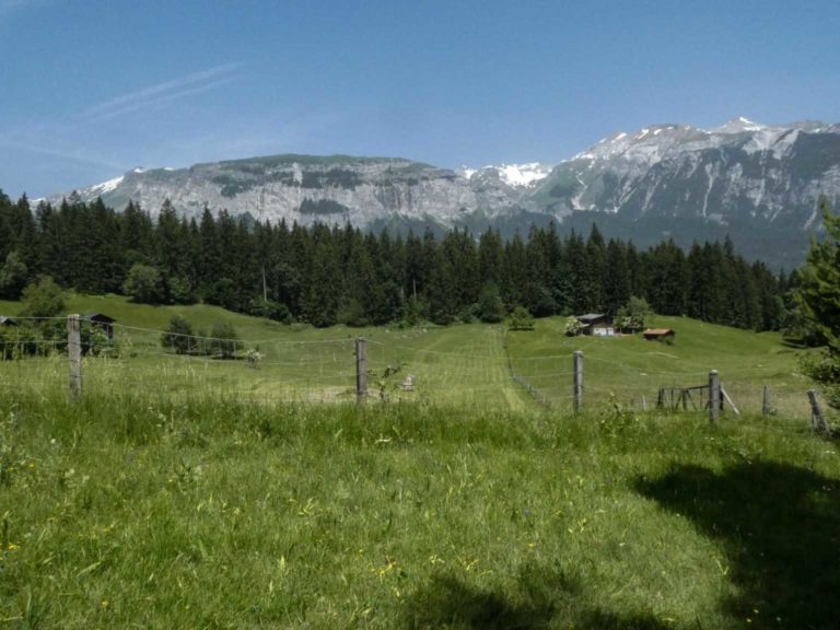 2019_SAC-Flims_Bild15_P1060016-30-2