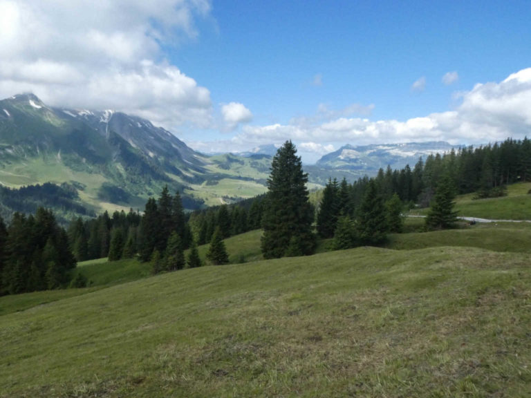 Bild03_P1010456-5-2