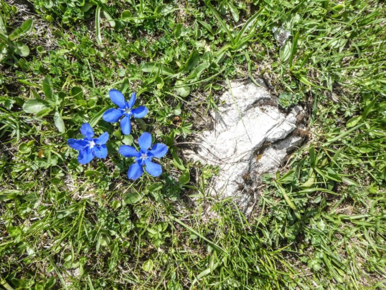 Bild07_P1010464-12-2