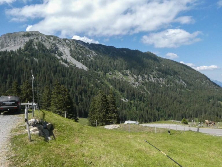 Bild15_P1010498-1-2