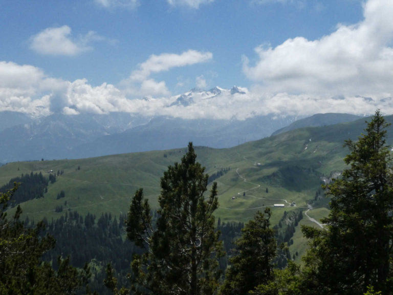 Bild19_P1010488-29-2