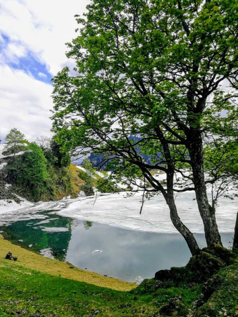 IMG-20190608-WA0016~3