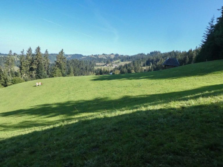 P1020121-22-2