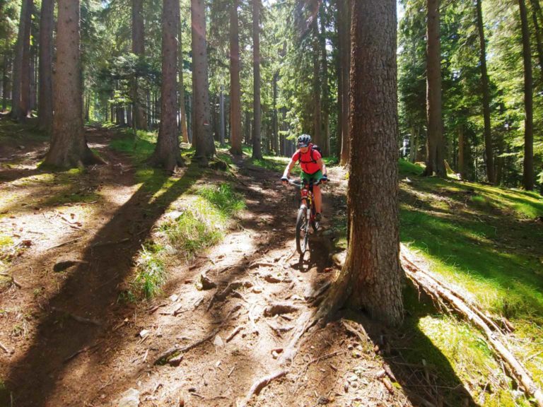 Vinschgau_009_Stoabruch