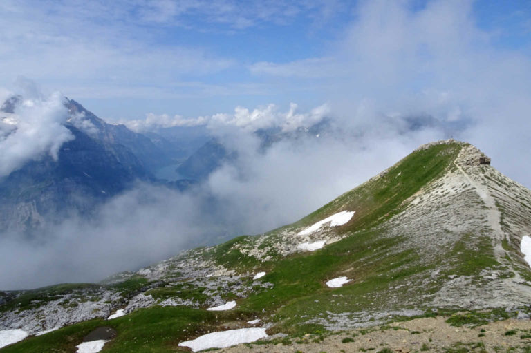 DSC06763 – Kopie