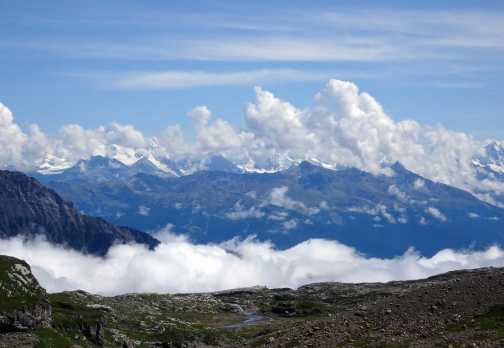 Schiberg 2043m, Brennar. (H/B/WS) Hansruedi Bachmann