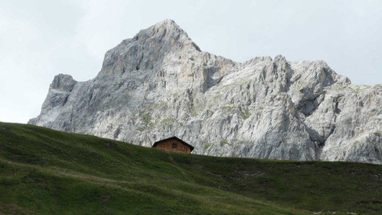 P1000798