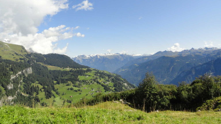 08 Braunwald