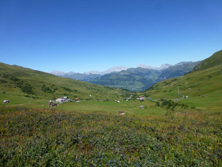 P1010847