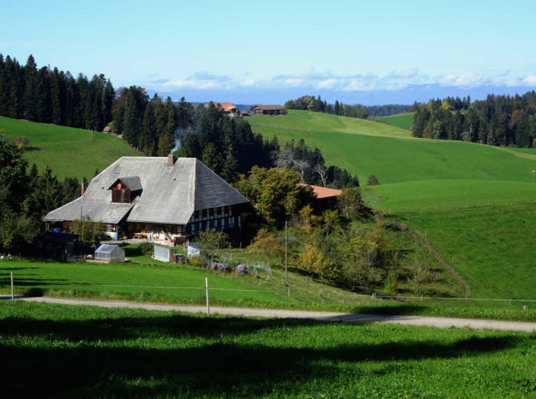 DSC07960