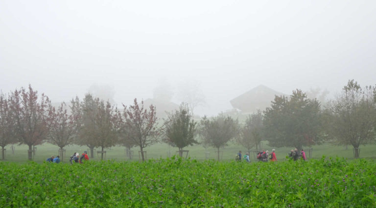 DSC07994