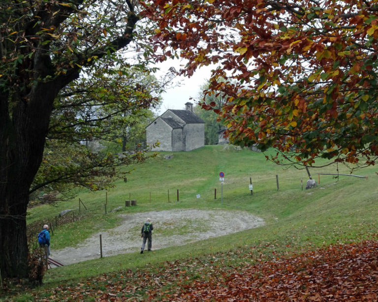 DSC08077