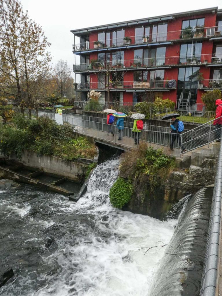 2019_SACUster_Bild03_P1070426-10-2
